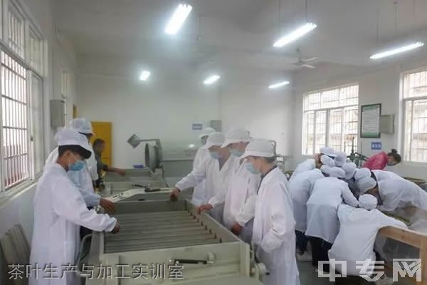 印江中等职业学校 茶叶生产与加工实训室