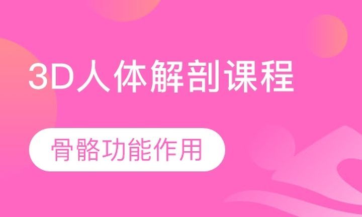 成都中体力健学校3D人体解剖私人健身教练培训班