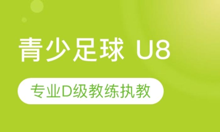 莆田奥暄青少足球   U8培训班