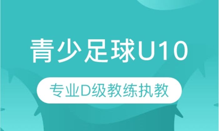 莆田奥暄青少足球U10培训班