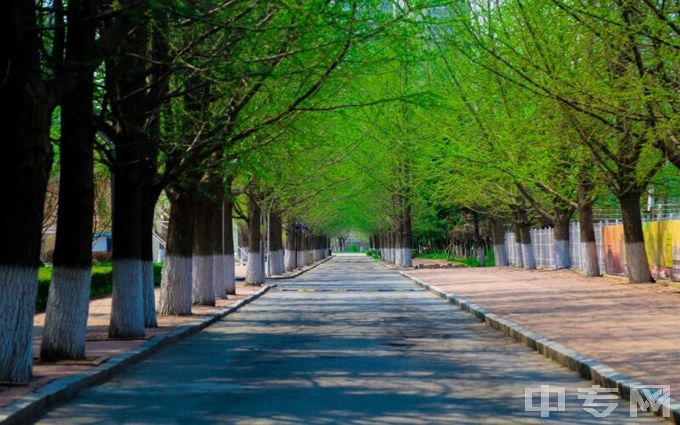 辽东学院-林荫