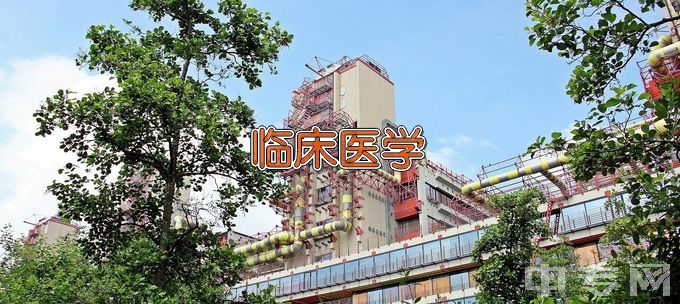 大连医科大学临床医学