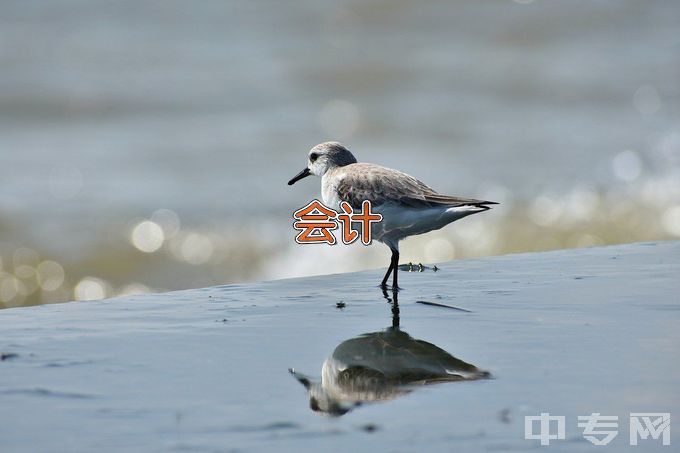 上海思博职业技术学院大数据与会计