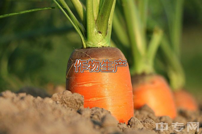 宣城市工业学校作物生产技术