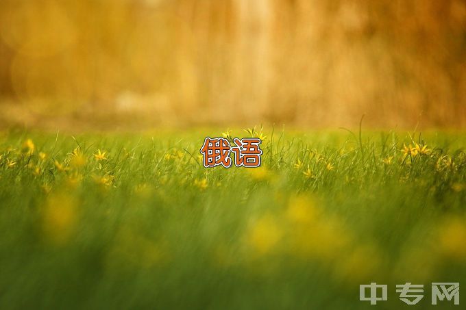 青岛科技大学俄语