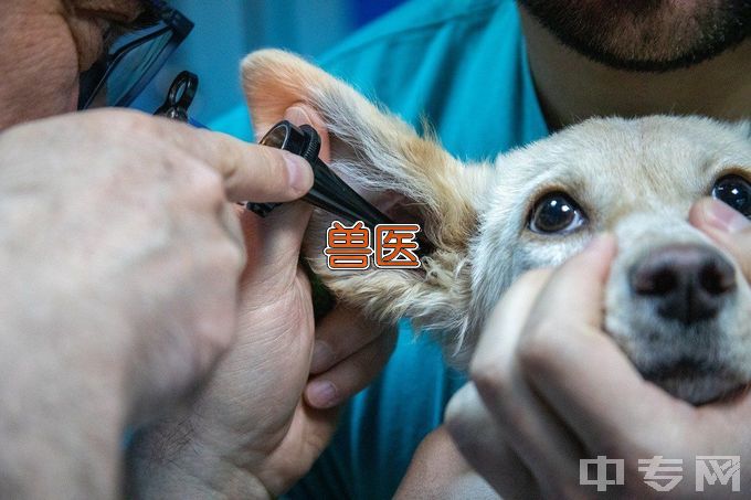 湘西民族职业技术学院畜牧兽医