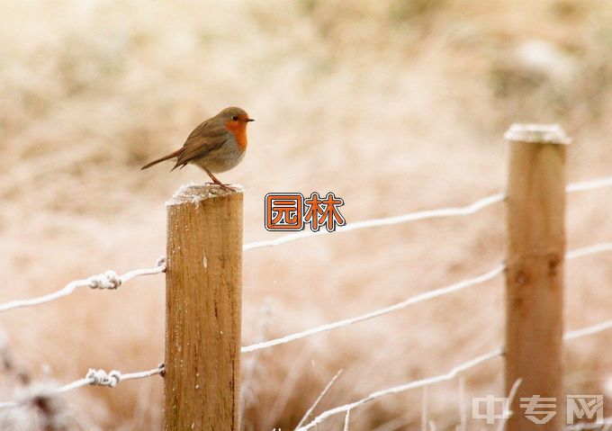 东营市中等专业学校园林技术