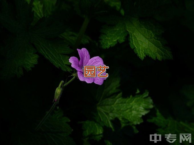 广东茂名农林科技职业学院园艺技术