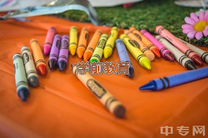 广西制造工程职业技术学院学前教育（校企合作订单培养）