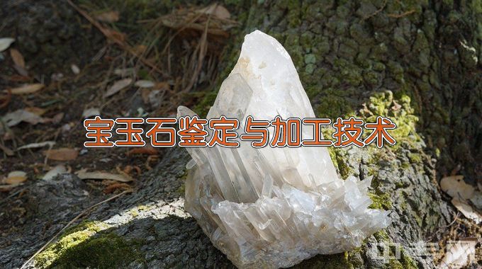 青海交通职业技术学院宝玉石鉴定与加工