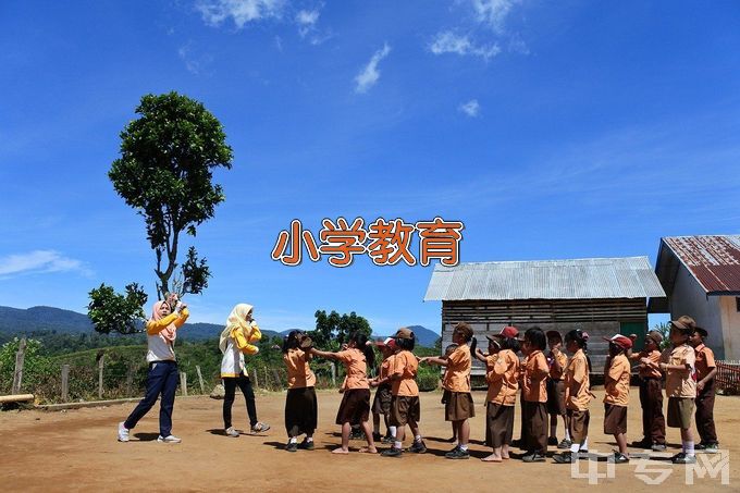 宿迁学院小学教育（师范类）