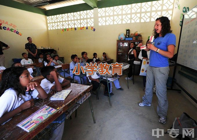 抚州幼儿师范高等专科学校小学教育