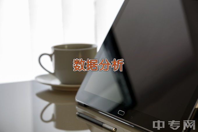 江西枫林涉外经贸职业学院商务数据分析与应用