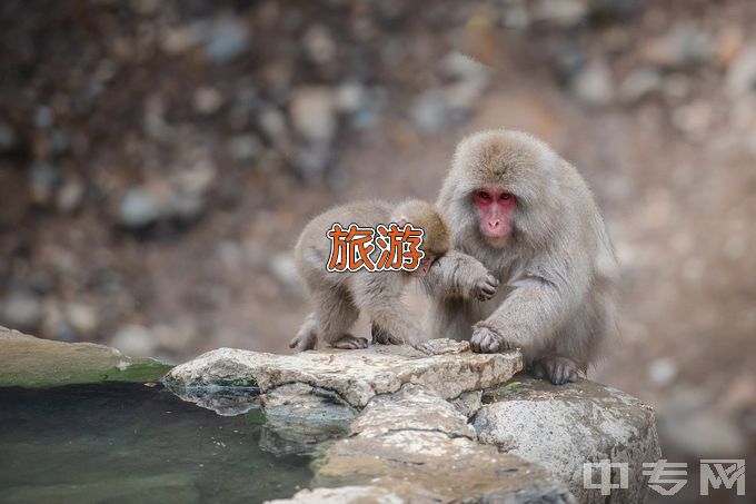 湖南科技大学旅游管理