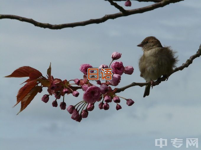 南通师范高等专科学校商务日语