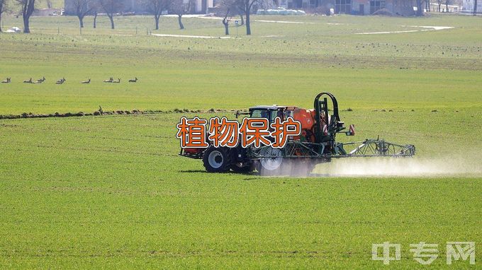 阜阳理工学校植物保护