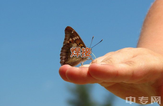 黑龙江农业经济职业学院智能焊接技术