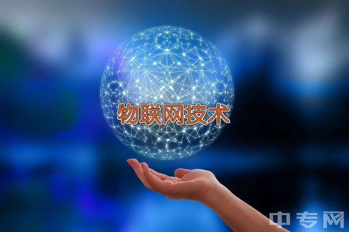 天津电子信息职业技术学院物联网应用技术