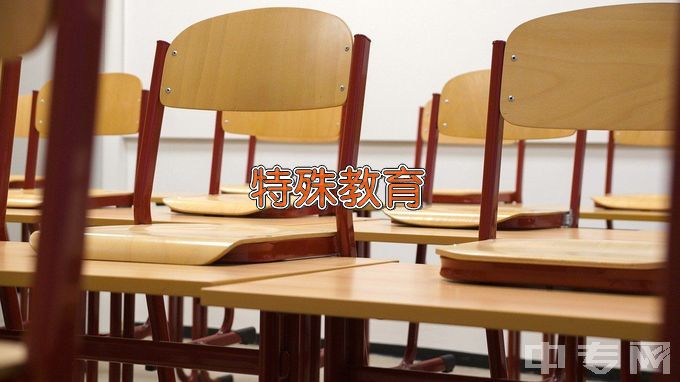 济南大学特殊教育