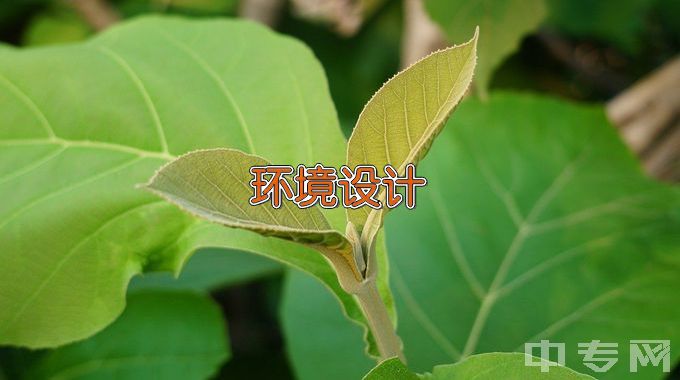 内江师范学院环境设计