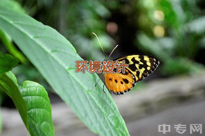 沈阳建筑大学环境设计