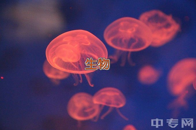 上海海洋大学生物科学类