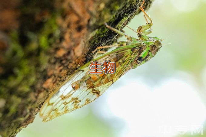 肇庆学院生物科学类