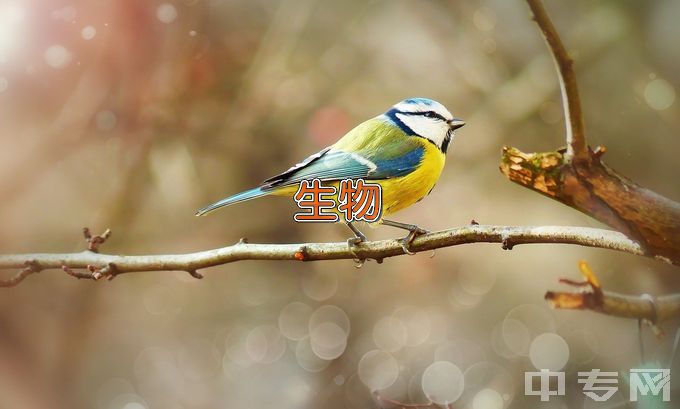 华中科技大学生物信息学