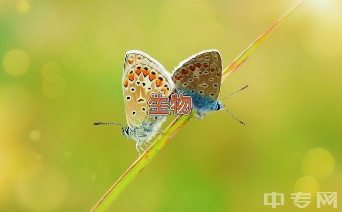 喀什大学生物技术及应用