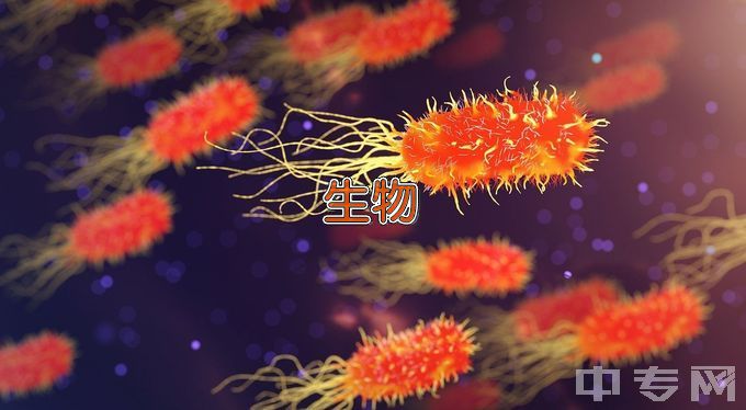 北京工业大学生物医学工程