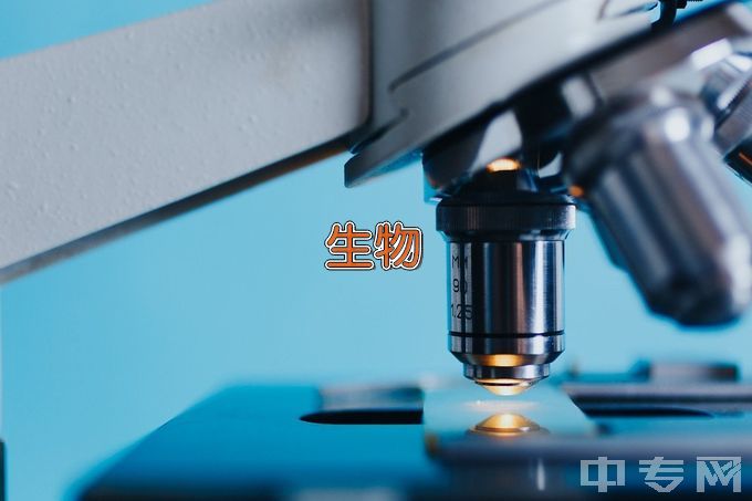 重庆邮电大学生物信息学