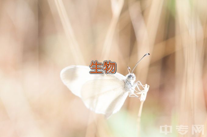 沈阳农业大学生物科学类