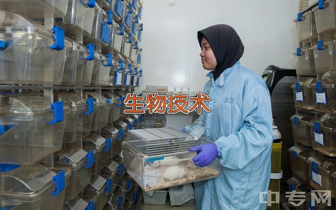 河北工业大学生物工程