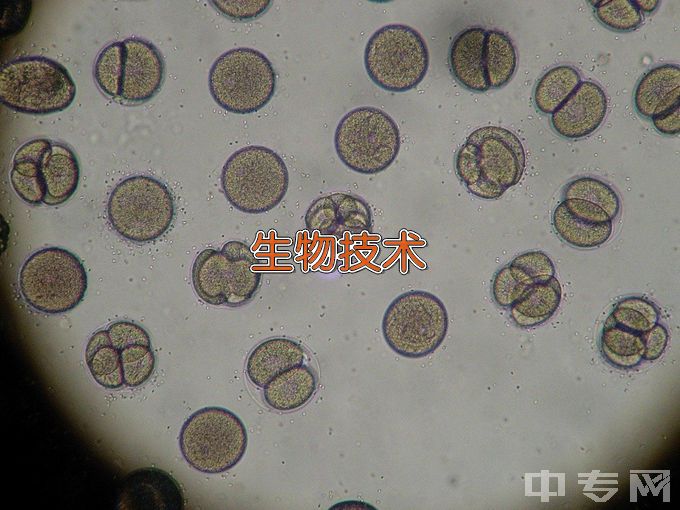 沈阳农业大学生物技术