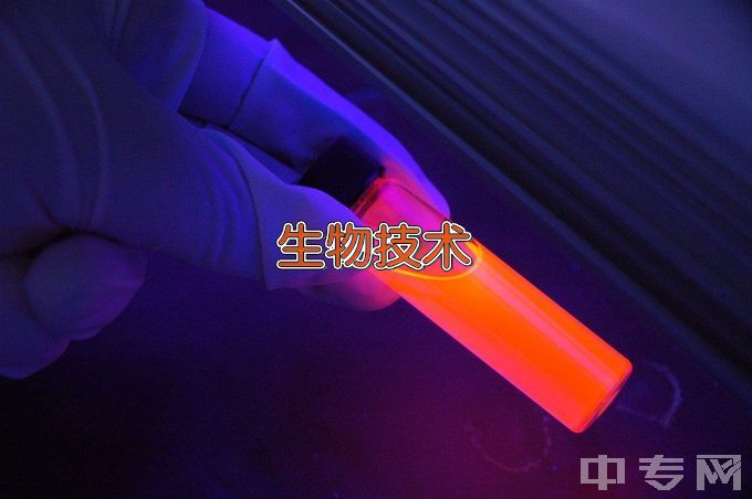 大连工业大学生物工程