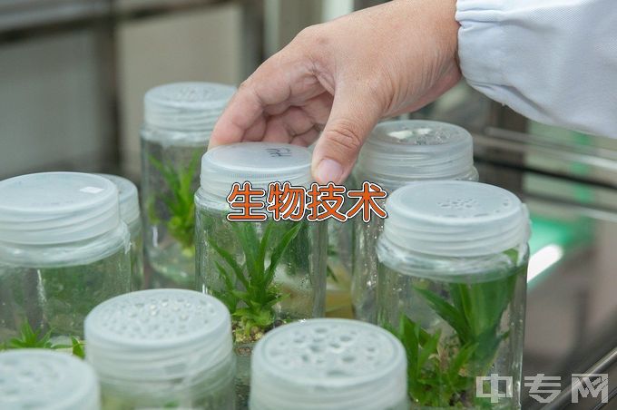 华南农业大学生物技术