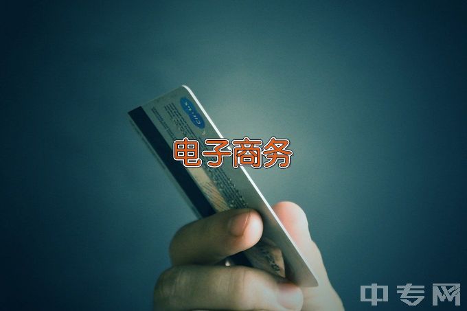 湖南怀化商业学校电子商务