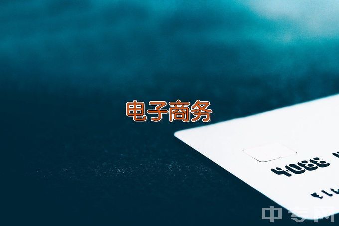 湘西新启航职业技术学校电子商务