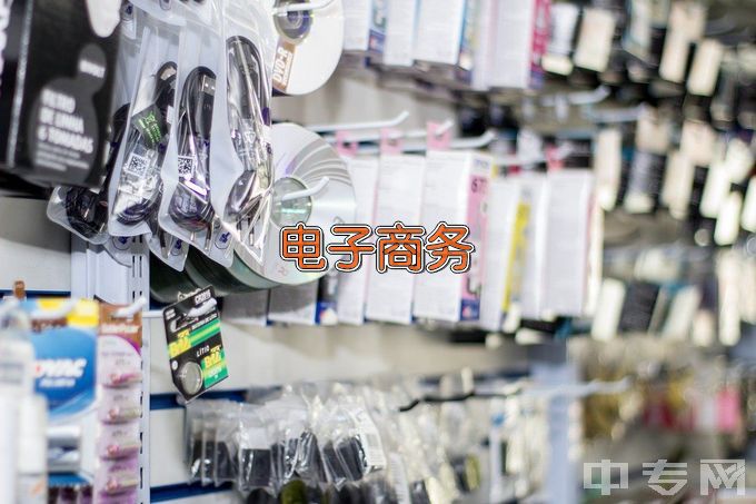 广东省岭南工商第一技师学院电子商务