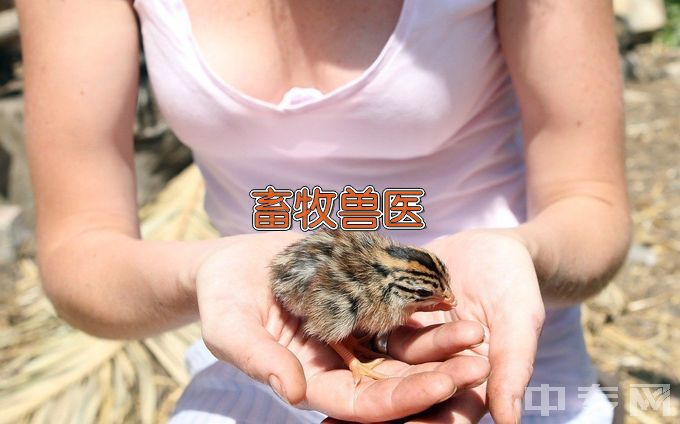 乌兰察布市中等职业技术学校畜牧兽医