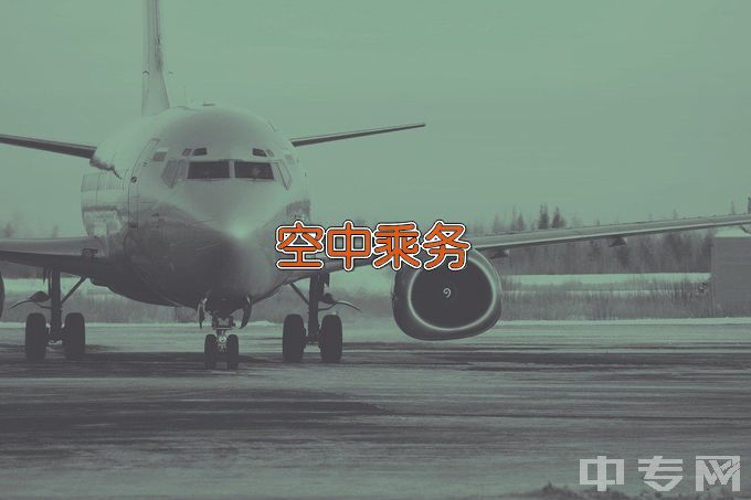 河北东方学院空中乘务