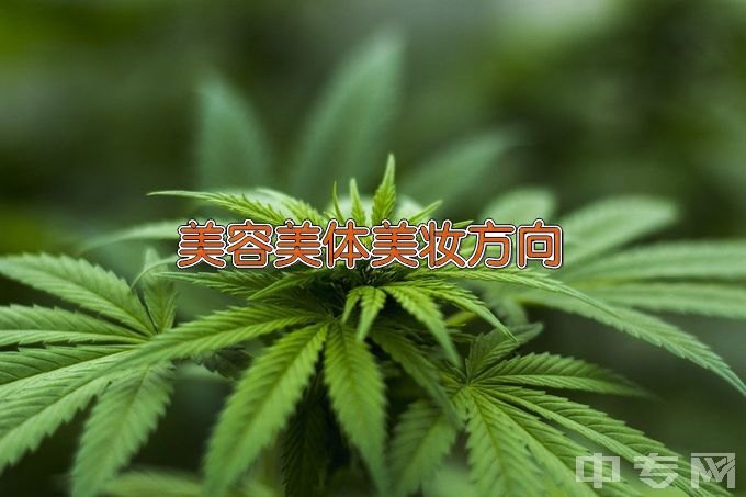 蚌埠商贸学校美发与形象设计