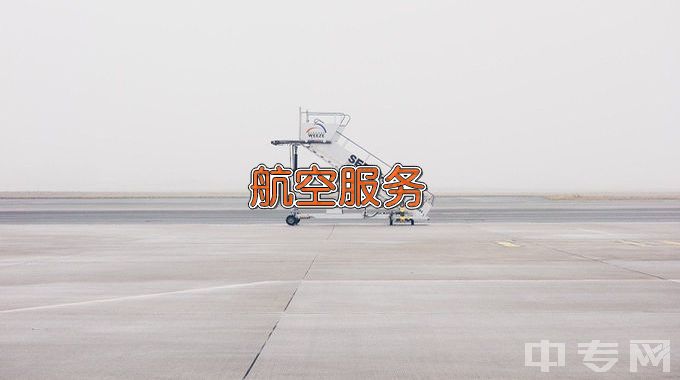 灵璧师范学校航空服务