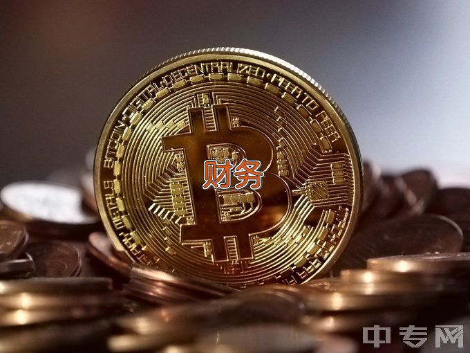 广西金融职业技术学院大数据与财务管理