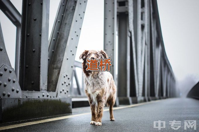 昆山登云科技职业学院道路与桥梁工程技术