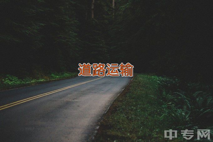 天津交通职业学院道路运输与路政管理