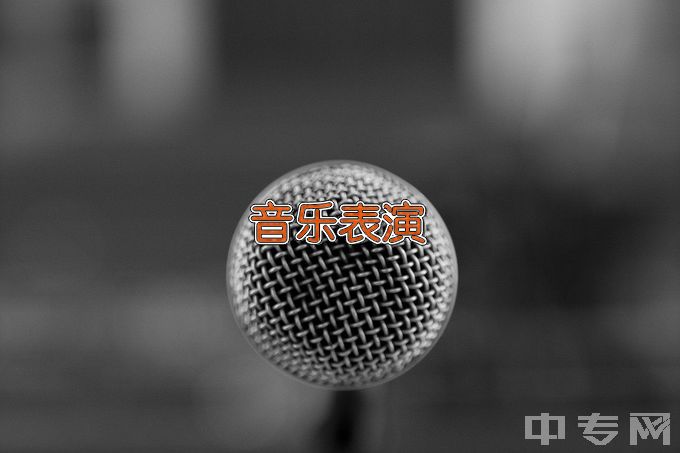 灵璧师范学校音乐表演