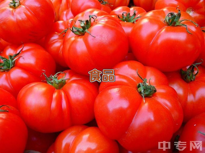 包头钢铁职业技术学院食品营养与检测